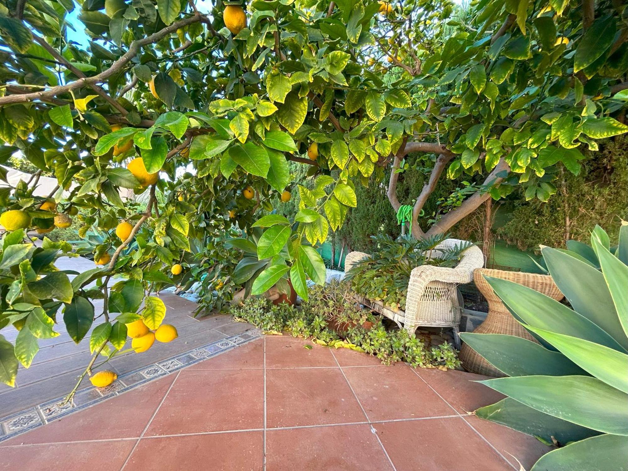 Casa Luna Llena Calpe Eksteriør billede